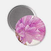 Batchelor-Button Magneet (Voorkant / Achterkant)