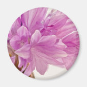 Batchelor-Button Magneet (Voorkant)