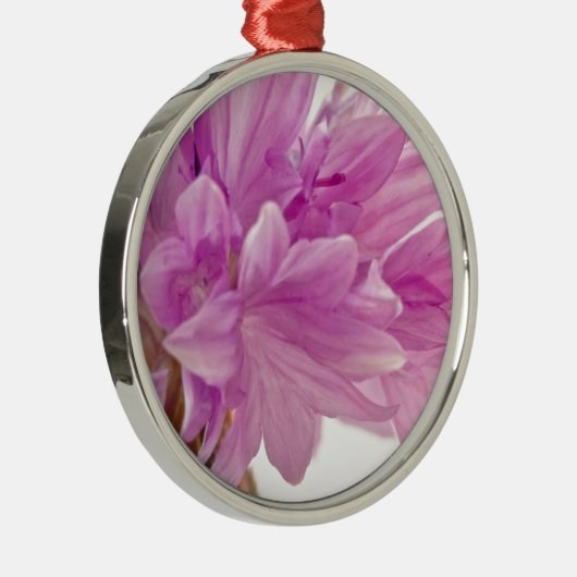 Batchelor-Button Metalen Ornament (Rechts)