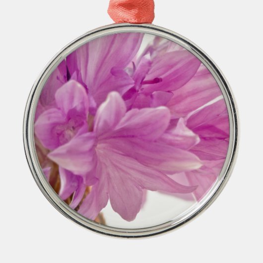 Batchelor-Button Metalen Ornament (Voorkant)