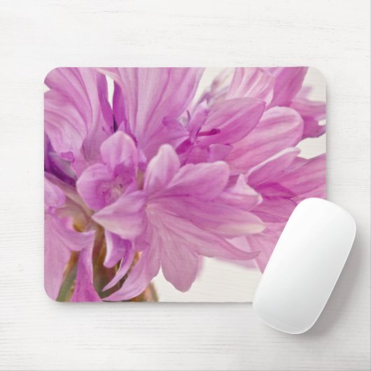 Batchelor-Button Muismat (Met muis)