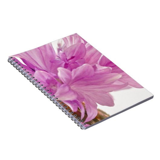 Batchelor-Button Notitieboek (Rechterzijde)