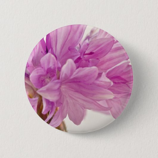 Batchelor-Button Ronde Button 5,7 Cm (Voorkant)