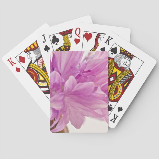 Batchelor-Button Speelkaarten (Achterkant)