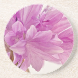 Batchelor-Button Zandsteen Onderzetter