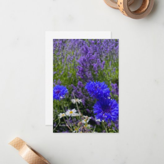 Batchelor Buttonnen & Lavendel Notitiekaartje (Voorkant / Achterkant in situ)