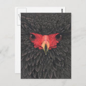 Bateleur Eagle African Bird Portrait Paper Collage Briefkaart (Voorkant / Achterkant)