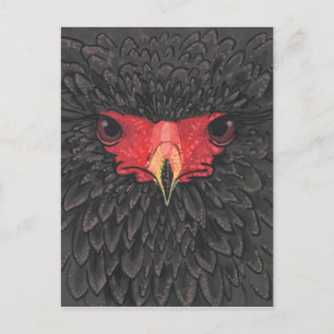 Bateleur Eagle African Bird Portrait Paper Collage Briefkaart
