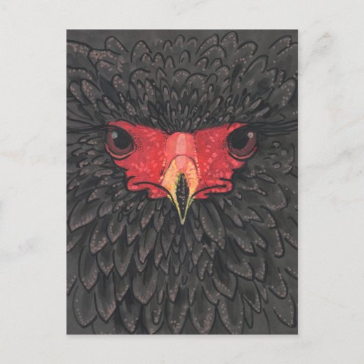 Bateleur Eagle African Bird Portrait Paper Collage Briefkaart (Voorkant)