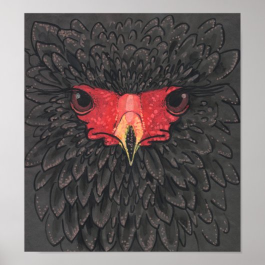 Bateleur Eagle African Bird Portrait Paper Collage Poster (Voorkant)