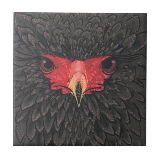 Bateleur Eagle African Bird Portrait Paper Collage Tegeltje (Voorkant)