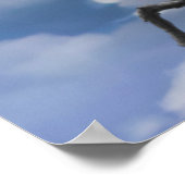 BATELEUR ELLE SKY COMMANDER POSTER (Hoek)