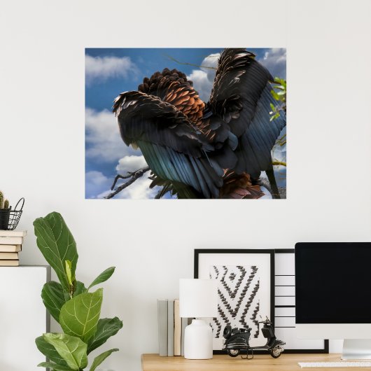 BATELEUR ELLE SKY COMMANDER POSTER (Thuiskantoor)