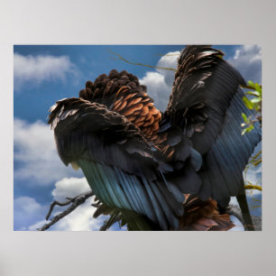 BATELEUR ELLE SKY COMMANDER POSTER