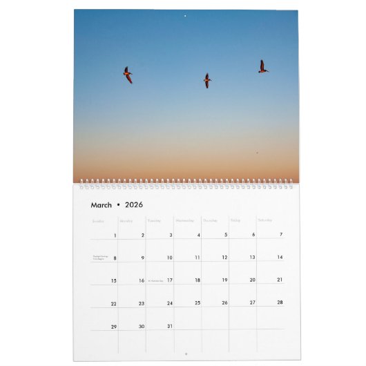 Baten, vogels en honden op Hilton Head Island Kalender (Mar 2026)