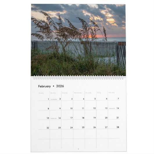 Baten, vogels en honden op Hilton Head Island Kalender (Feb 2026)