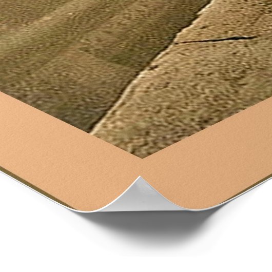 Bath ~ England ~ Vintage Travel Poster (Hoek)