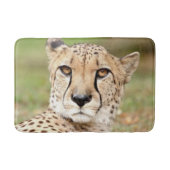 Bath Mat Foto guepard cat, dieren. (Voorkant)