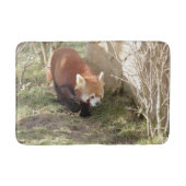 Bath Mat Foto red panda, animal 0126. (Voorkant)