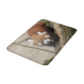 Bath Mat Foto red panda, animal 0127. (Gekanteld)