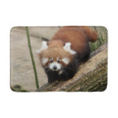 Bath Mat Foto red panda, animal 0127. (Voorkant)