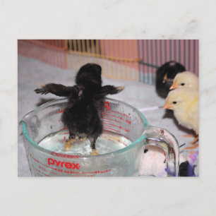 Bath-tijd Briefkaart