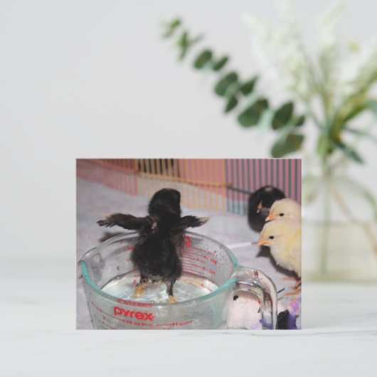 Bath-tijd Briefkaart (Staand voorkant)