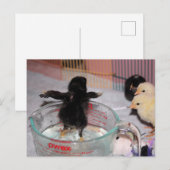 Bath-tijd Briefkaart (Voorkant / Achterkant)