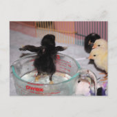 Bath-tijd Briefkaart (Voorkant)