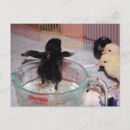 Bath-tijd Briefkaart