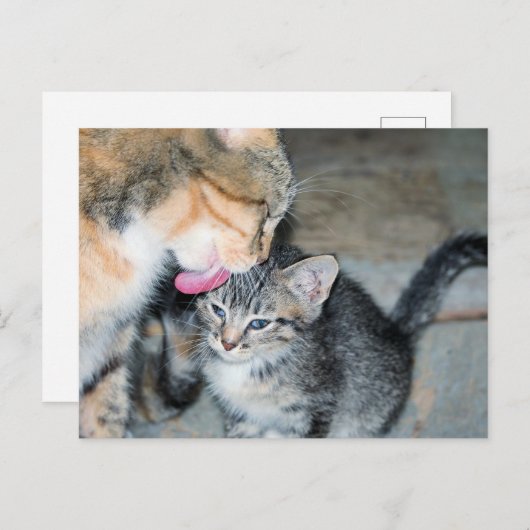 Bath-tijd Briefkaart (Voorkant / Achterkant)