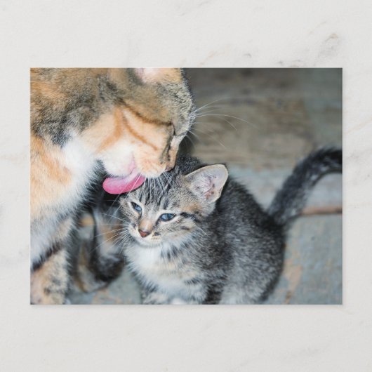 Bath-tijd Briefkaart (Voorkant)