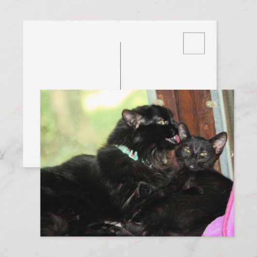 Bath-tijd Feestdagenkaart (Voorkant / Achterkant)