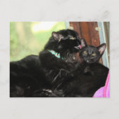 Bath-tijd Feestdagenkaart (Voorkant)