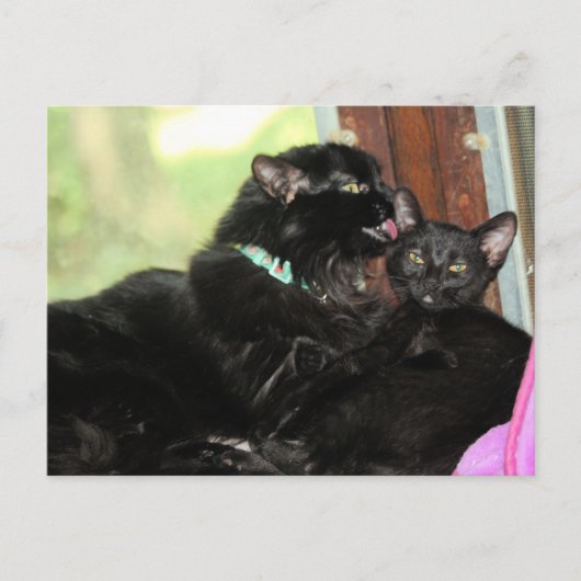 Bath-tijd Feestdagenkaart (Voorkant)