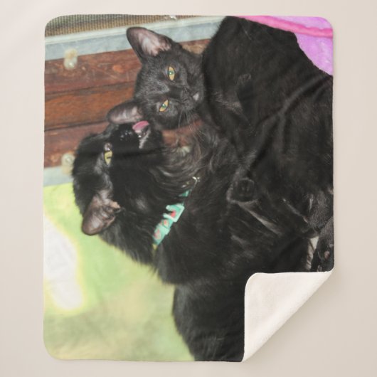 Bath-tijd Sherpa Deken (Voorkant)