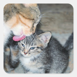 Bath-tijd Vierkante Sticker