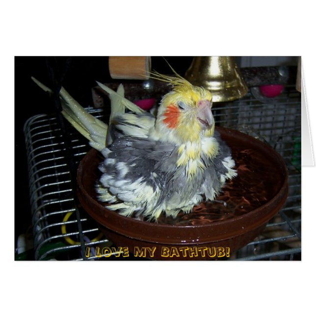 Bath Time (Voorkant Horizontaal)