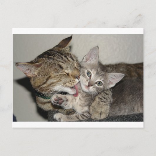 Bath Time Briefkaart (Voorkant)