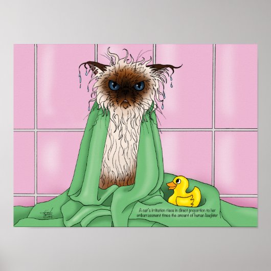 Bath Time Cat Poster (Voorkant)