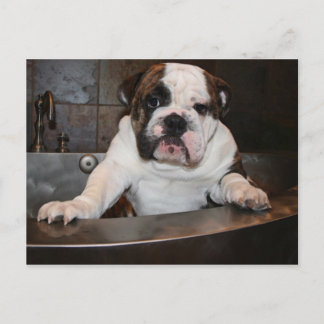 Bath Time Post-kaart Briefkaart