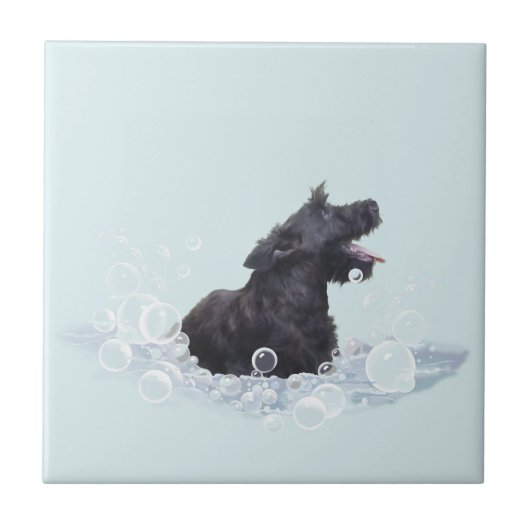 Bath Time Tegeltje (Voorkant)