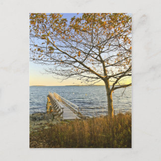 Bathed in Golden Light Briefkaart