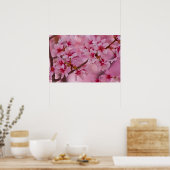 Bathed in Pink Japans Cherry Blossom Poster (Keuken)