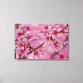 Bathed in Pink Japans Cherry Blossom Poster Canvas Afdruk (Voorkant)