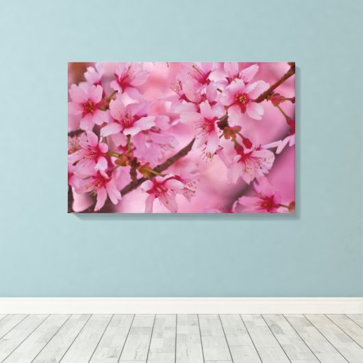Bathed in Pink Japans Cherry Blossom Poster Canvas Afdruk (Insitu (Houten vloer))