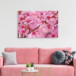 Bathed in Pink Japans Cherry Blossom Poster Canvas Afdruk