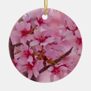 Bathed in Roze Japanse Cherry Blossom Keramisch Ornament