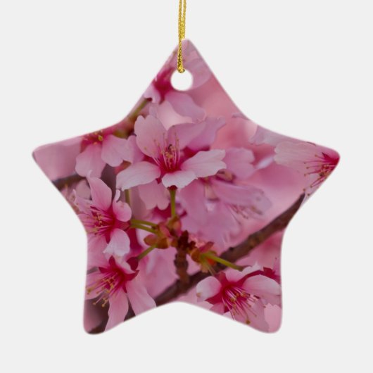 Bathed in Roze Japanse Cherry Blossom Keramisch Ornament (Voorkant)
