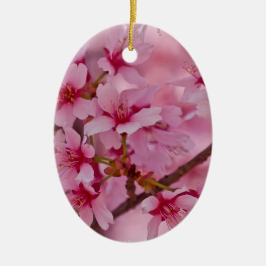 Bathed in Roze Japanse Cherry Blossom Keramisch Ornament (Voorkant)
